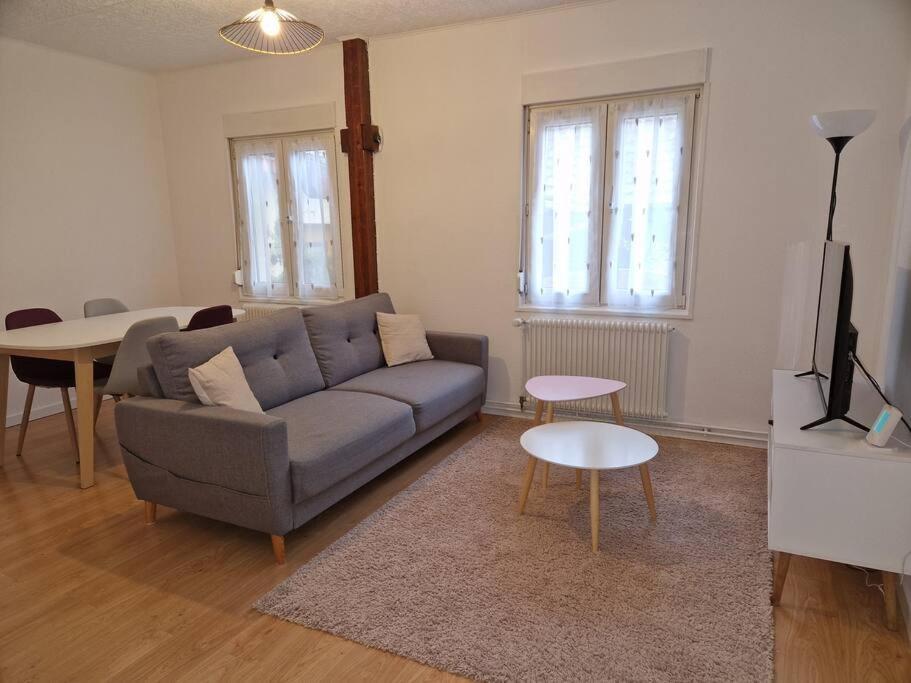Appartement Le Grillenbreit Кольмар Экстерьер фото